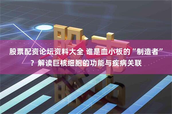 股票配资论坛资料大全 谁是血小板的“制造者”？解读巨核细胞的功能与疾病关联