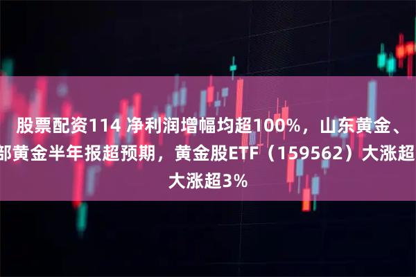 股票配资114 净利润增幅均超100%，山东黄金、西部黄金半年报超预期，黄金股ETF（159562）大涨超3%