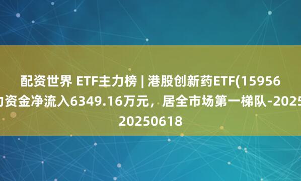 配资世界 ETF主力榜 | 港股创新药ETF(159567)主力资金净流入6349.16万元，居全市场第一梯队-20250618